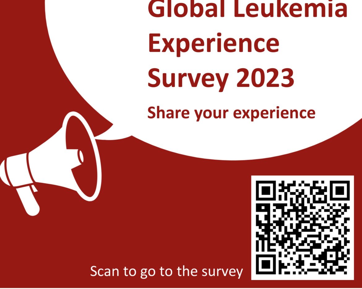 Experience Survey 2023